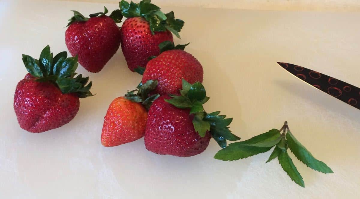 Strawberry Mint Agua Fresca - Ingredients