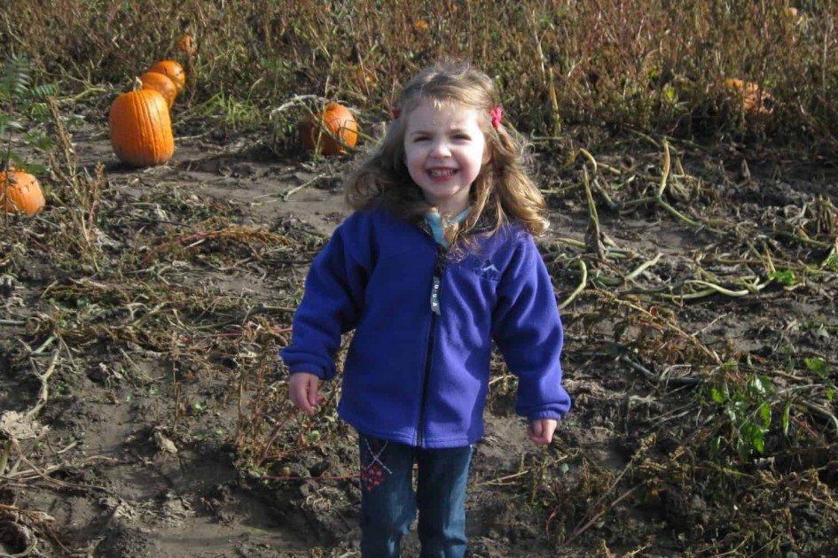 Pumpkin Patch at Wasem Fruit Farm