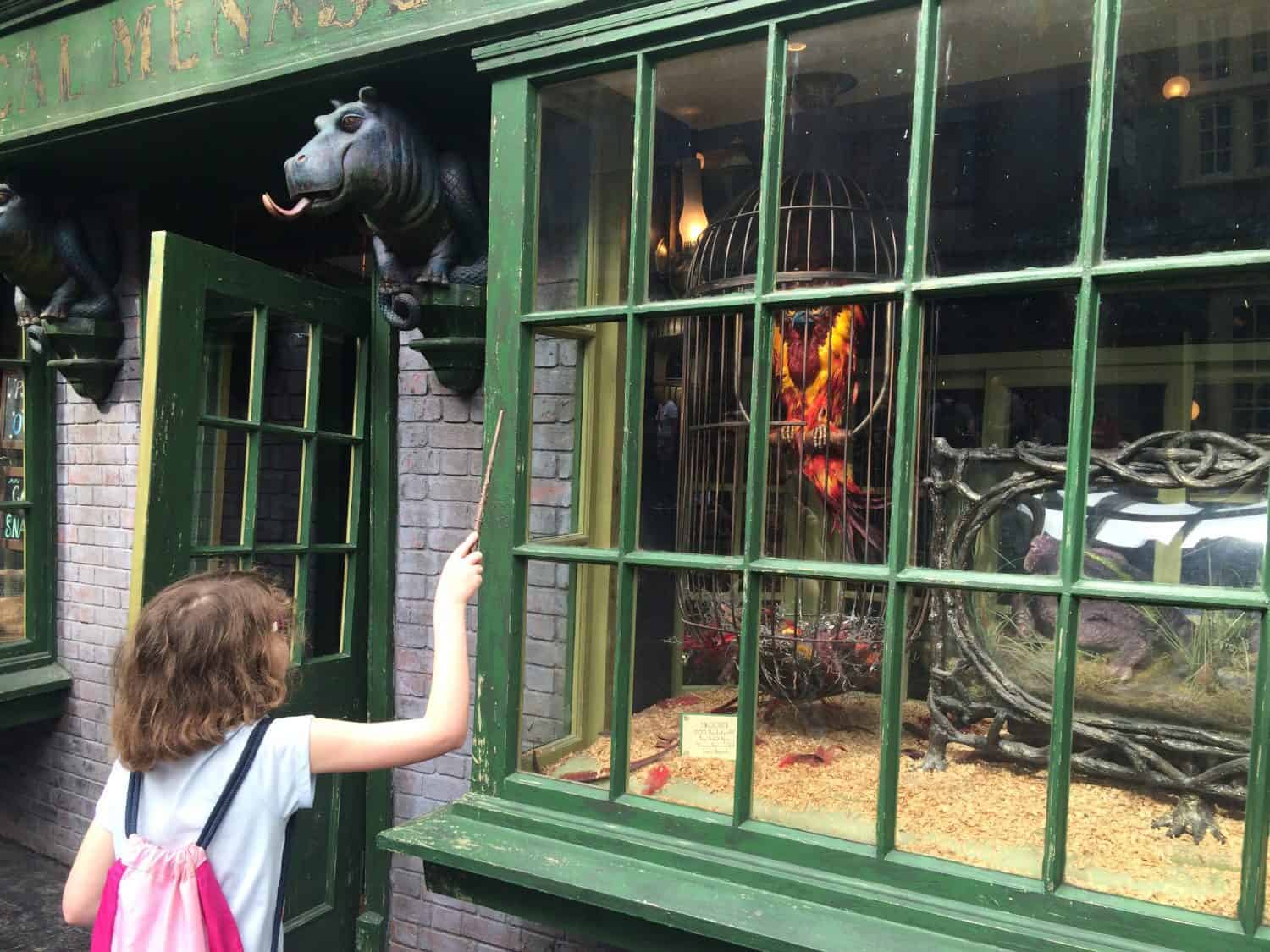 Interactive Wand at Diagon Alley at Universal Studios