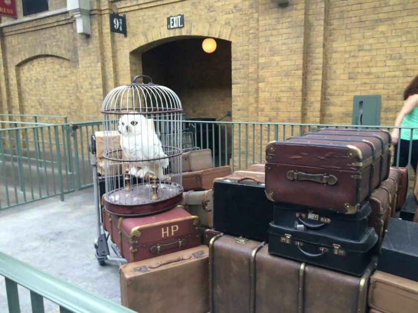 Hedwig at King's Cross Station Universal Studios