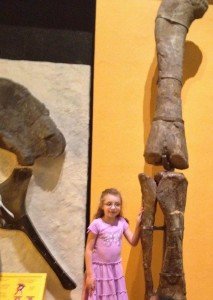 UM Museum of Natural History