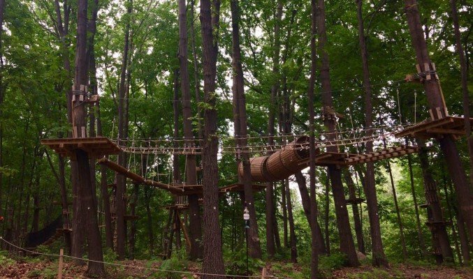 The Adventure Park in West Bloomfield - Just a small part of the park