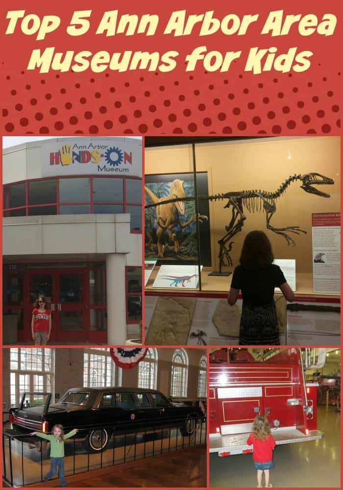 Top 5 Ann Arbor Area Museums for Kids