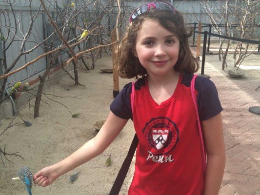 Toledo Zoo Keet Retreat Feeding the Blue Parakeet