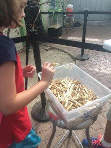 Toledo Zoo Keet Retreat Picking a Feed Stick