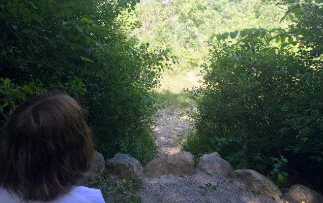Lillie Park Playground - Trail Overlook