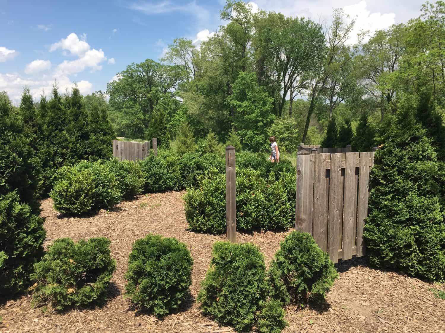 Matthaei Botanical Garden - Children's Garden - Maze