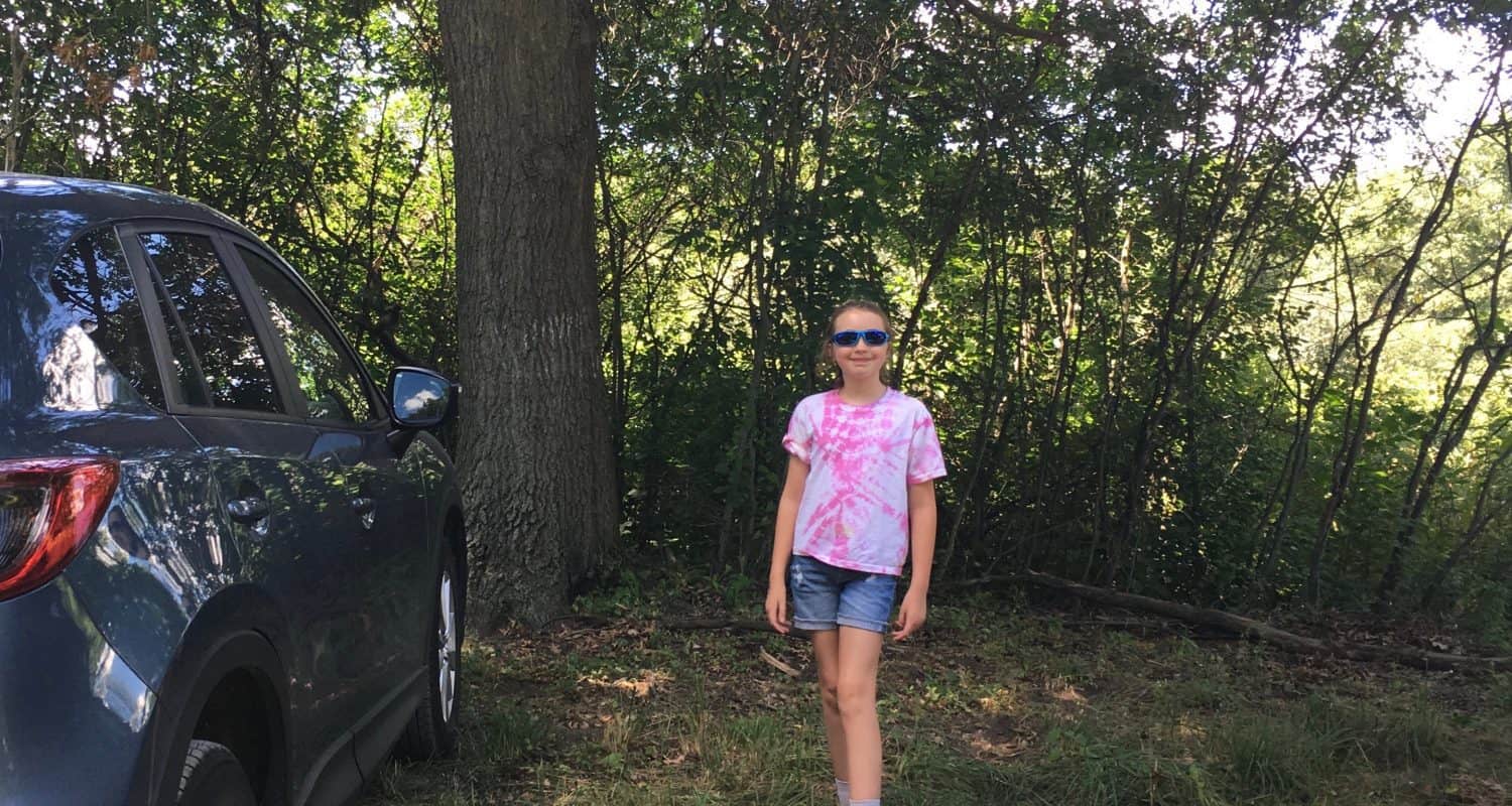 Blueberry Picking - Park in the Shade