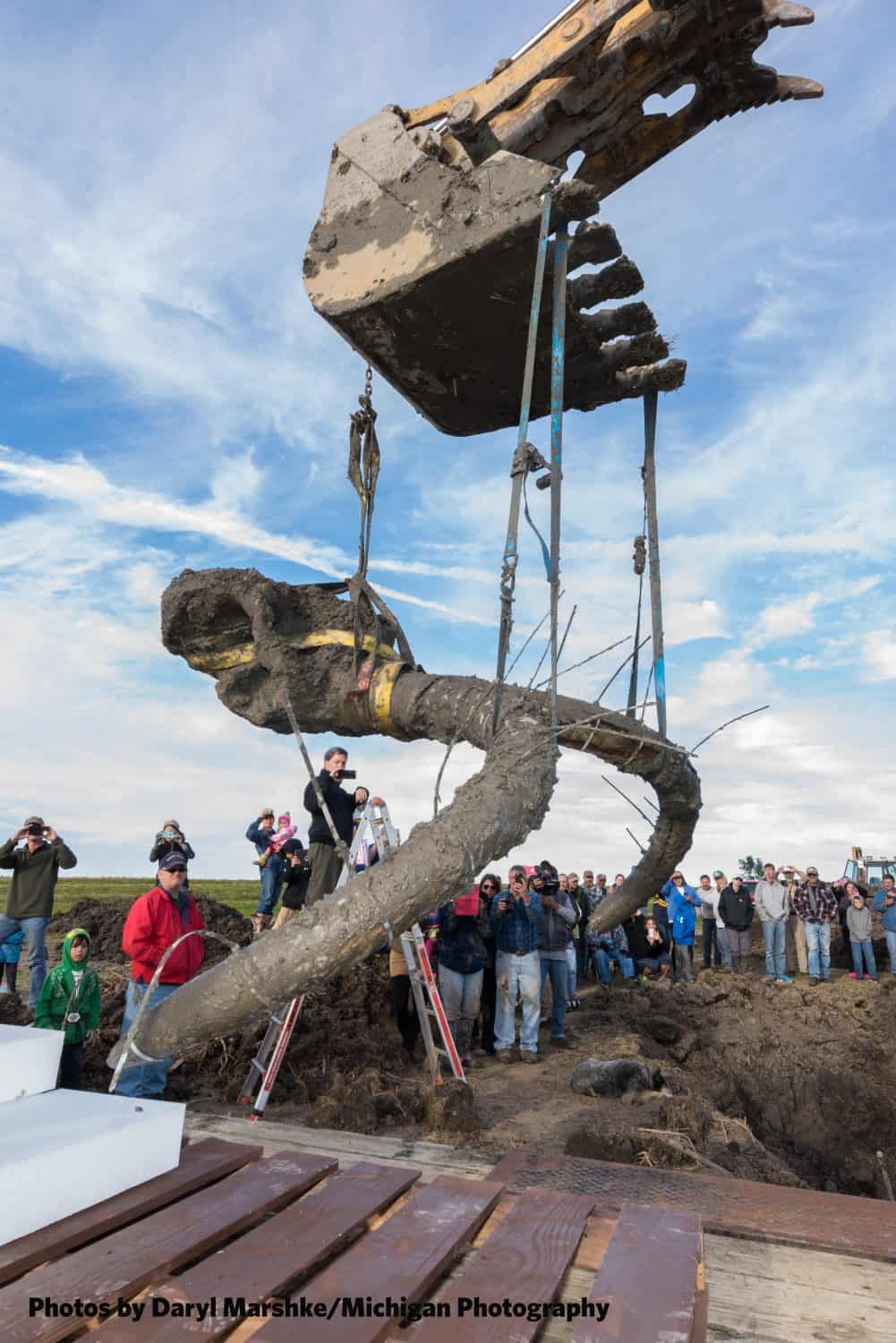UMMNH - Mammoth Site Dig