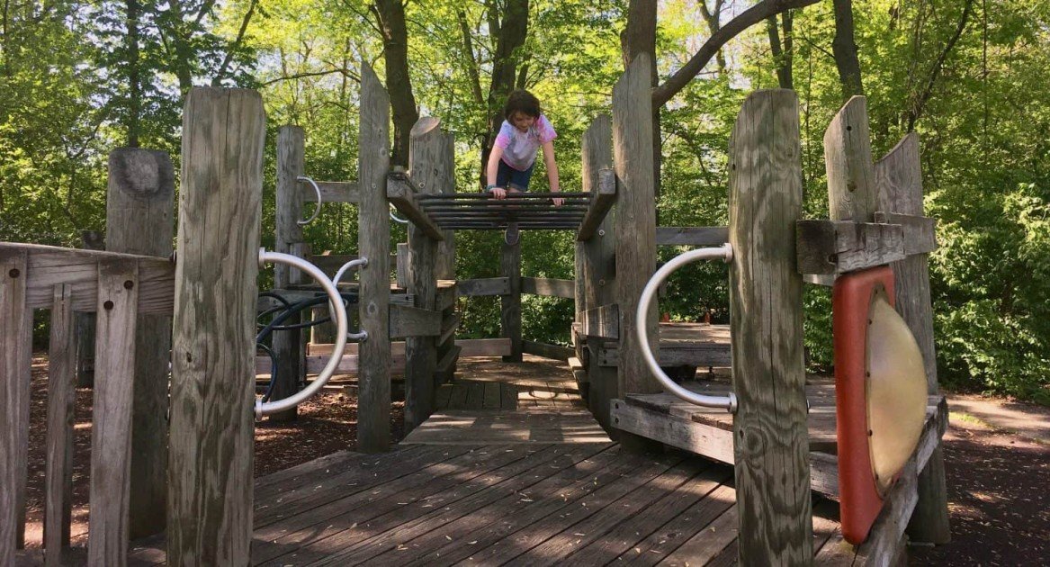 Fuller Park Playground Profile - Over the Monkey Bars