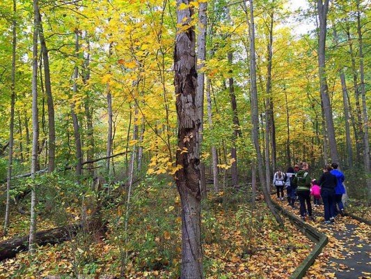 Family Friendly Ann Arbor Hikes - Parker Mill