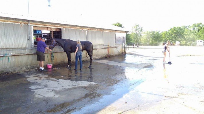 4-H Youth Show - Horse Bath