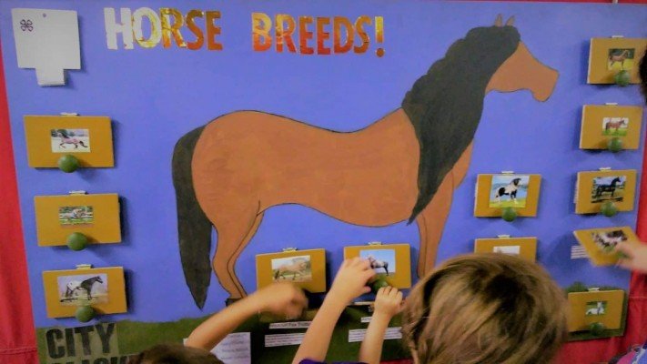 4-H County Fair - Horse Poster