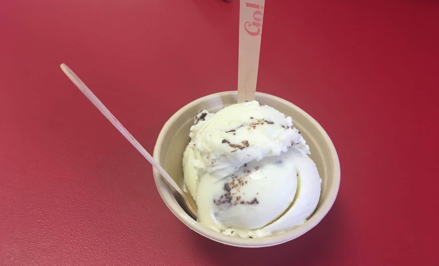 Go Ice Cream - Mint Chocolate Chip