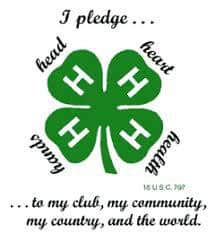 4-H Youth Show