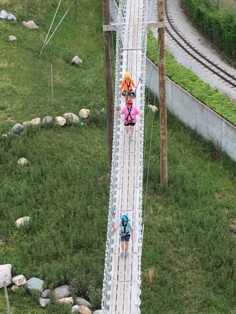 Toledo Zoo Aerial Adventure Course - On the Sky Bridge - View from Zip Line Tower