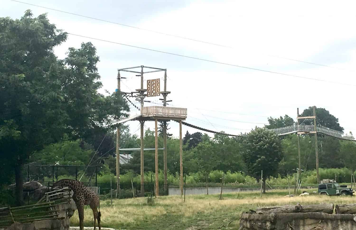 Toledo Zoo Aerial Adventure Course - Course View