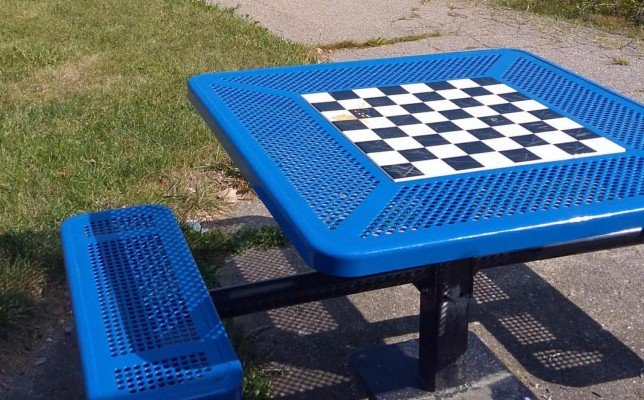 Arbor Oaks Playground Profile - Checkerboard table