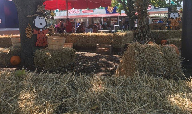 Cedar Point Halloweekends with Kids - Pumpkin Patch