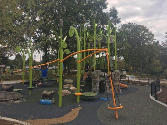 Centennial Playground at Gallup Park - One Structure