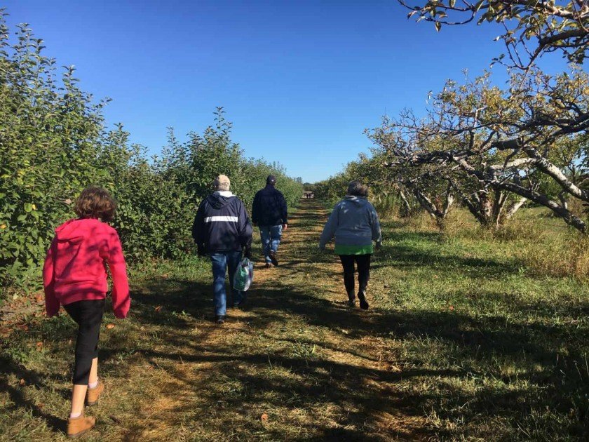 Apple Picking at Wasem Fruit Farm - Go to the Back of the Row