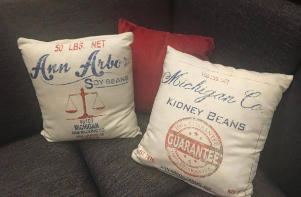 Staycation at Hyatt Place Ann Arbor - Lobby Cushions