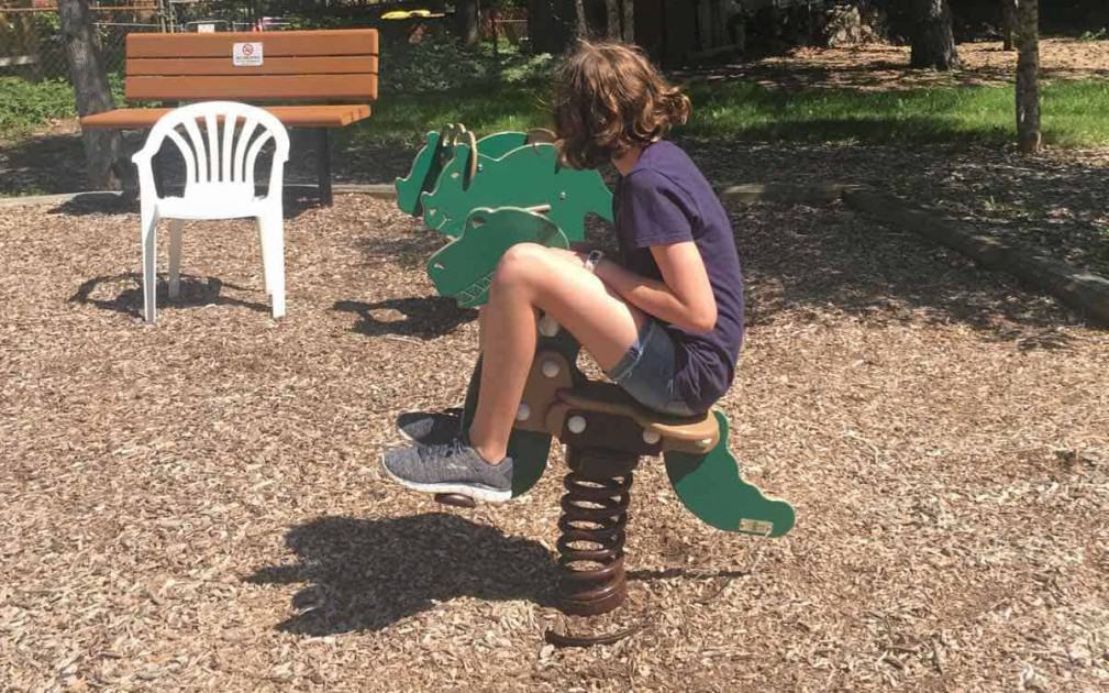 Ann Arbor Winewood Thaler Playground Profile - Dinosaur Bouncer