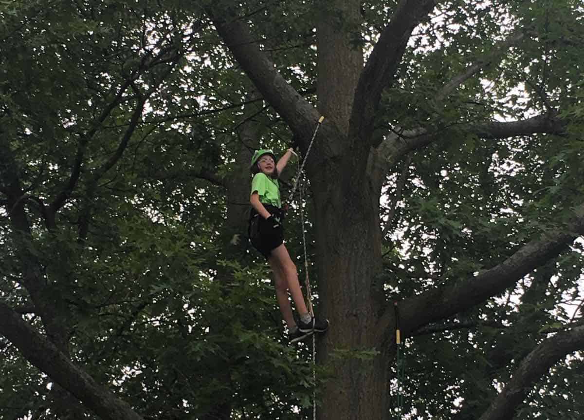 Tuck's Treetop Adventures - Made it to the Top!