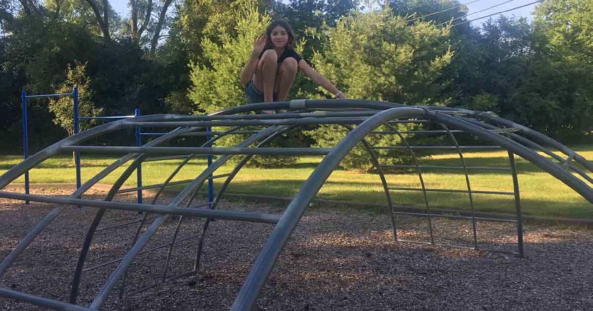 Ann Arbor Brookside Park - Dome Climber