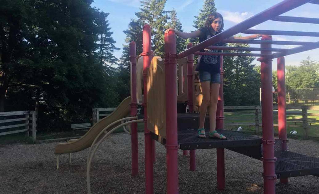 Ann Arbor's Clinton Park - Monkey Bars