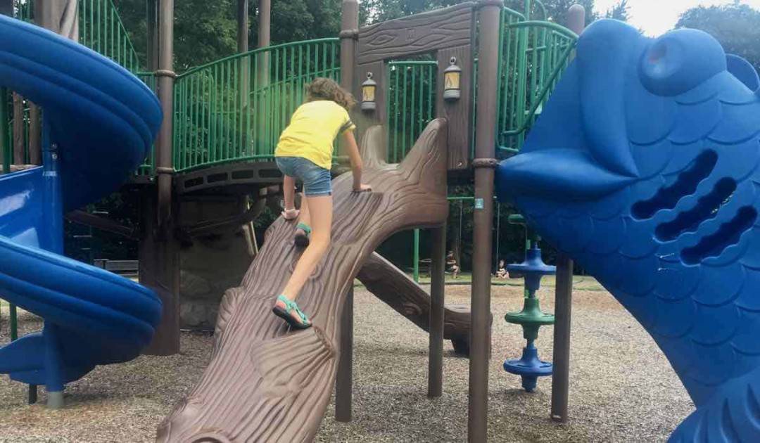 Ypsilanti's Clubview Park - Log Climb