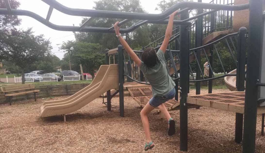 Ann Arbor Rose Park - Monkey Bars