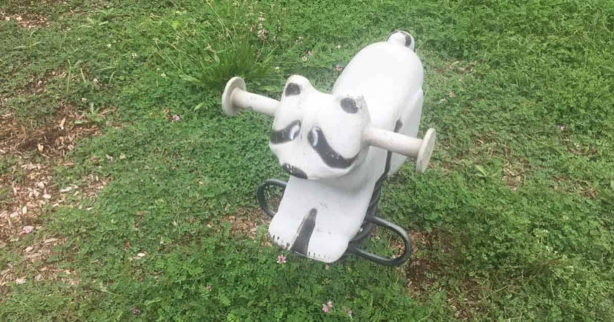 Ann Arbor Rose Park - Raccoon Bouncer