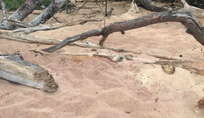 Visit Michigans Upper Peninsula with Kids - Munising - Sand Point Beach PInk Sand