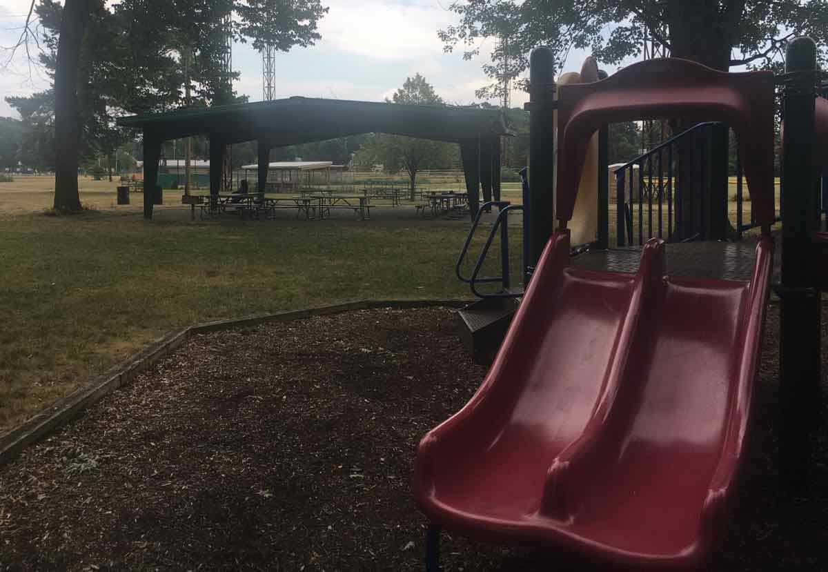 Swings picture