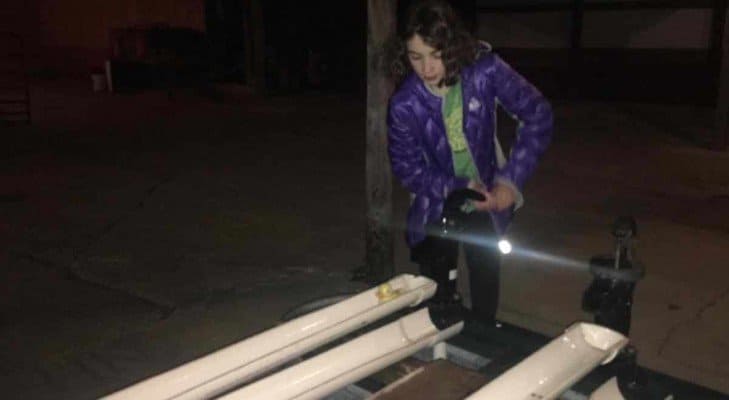 Blast Corn Maze - Duck Races