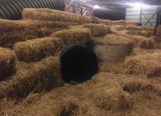 Blast Corn Maze - Straw Maze