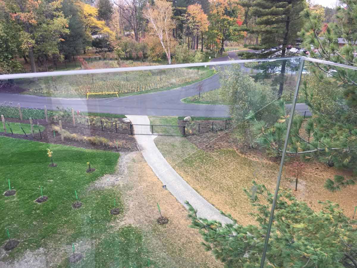 Canopy Walk - Glass Balcony in Orchard Grove - Whiting Forest - Dow Gardens