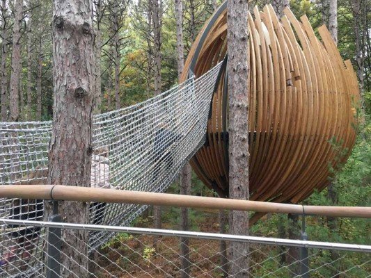 Canopy Walk - Rope Bridge to Pod - Whiting Forest - Dow Gardens