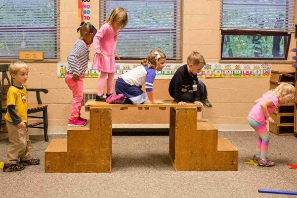 Ann Arbor Nursery - Stair Climbers