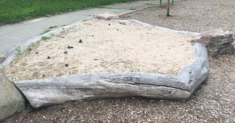Ann Arbor's Churchill Downs Park Playground Profile - Sand Box