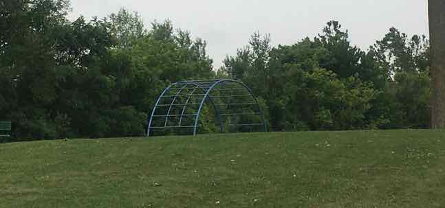 Saline's Brecon Park - Jungle Gym