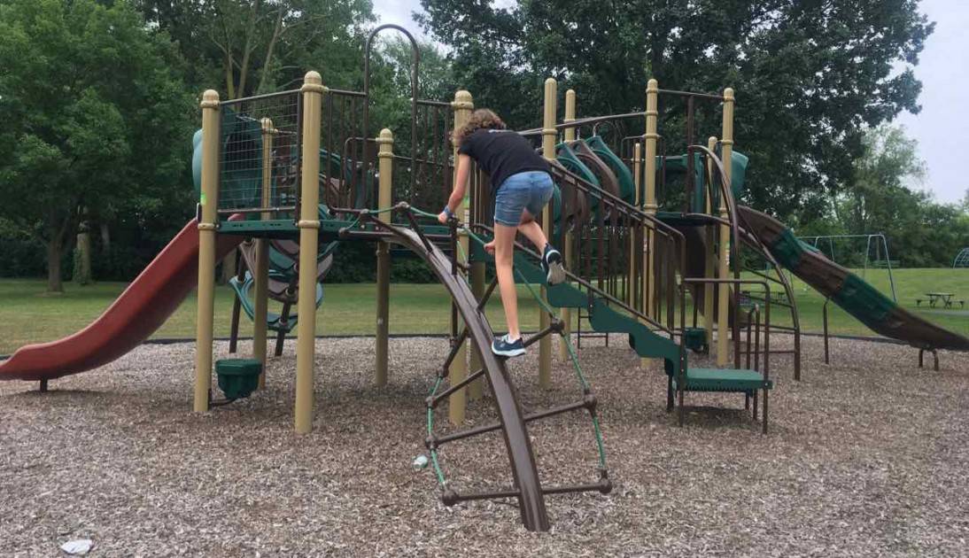 Saline's Brecon Park - Twisted Ladder