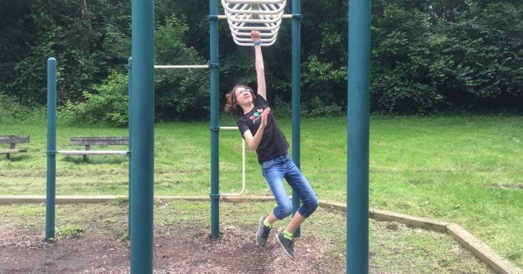 Tuebingen Park - Ann Arbor Playground Profile - Monkey Bars