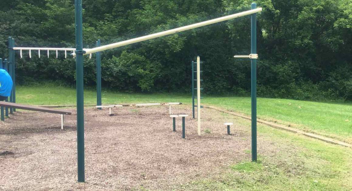 Tuebingen Park - Ann Arbor Playground Profile