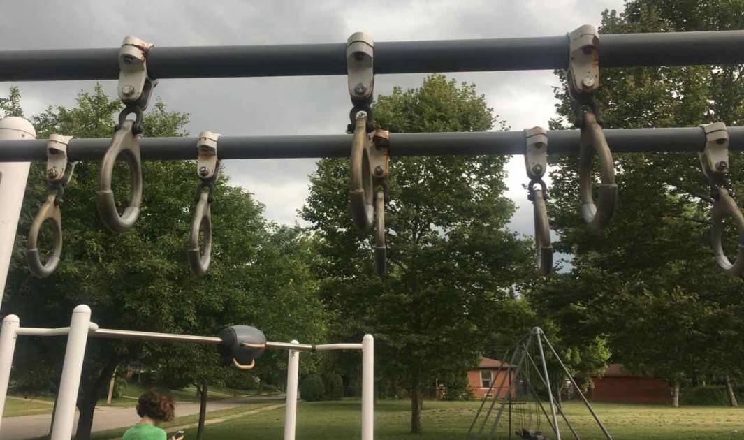 Ann Arbor's Las Vegas Park - Monkey Bars
