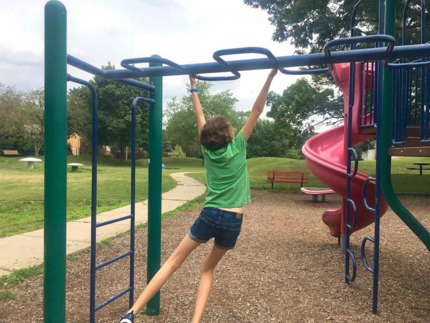 Ann Arbor's Mushroom Park - Monkey Bars