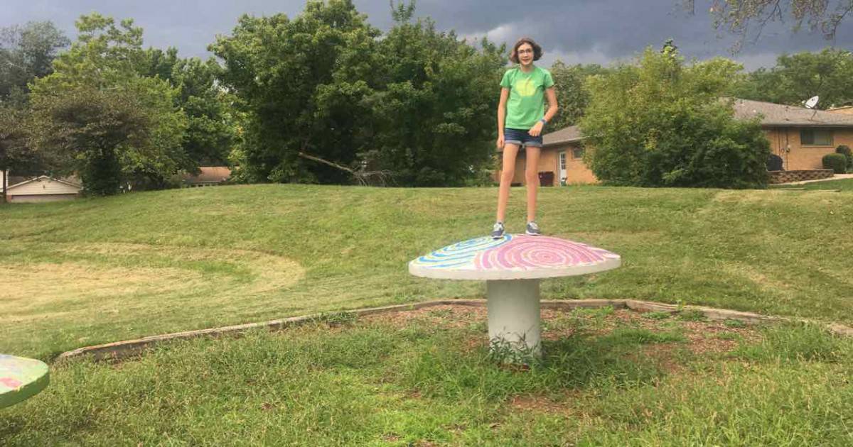 Ann Arbor's Mushroom Park - On the Mushroom