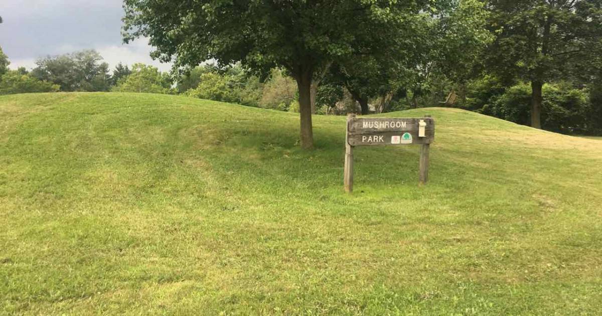 Ann Arbor's Mushroom Park - Hills & Sign