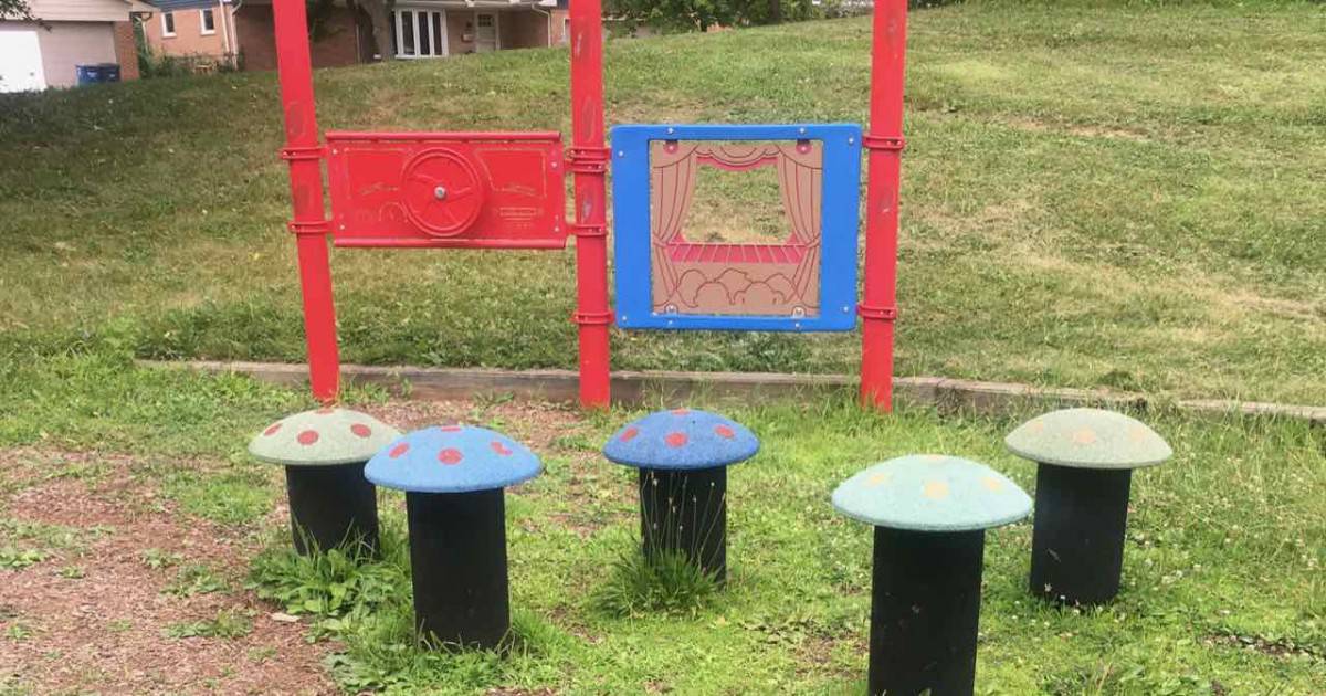 Ann Arbor's Mushroom Park - Theater